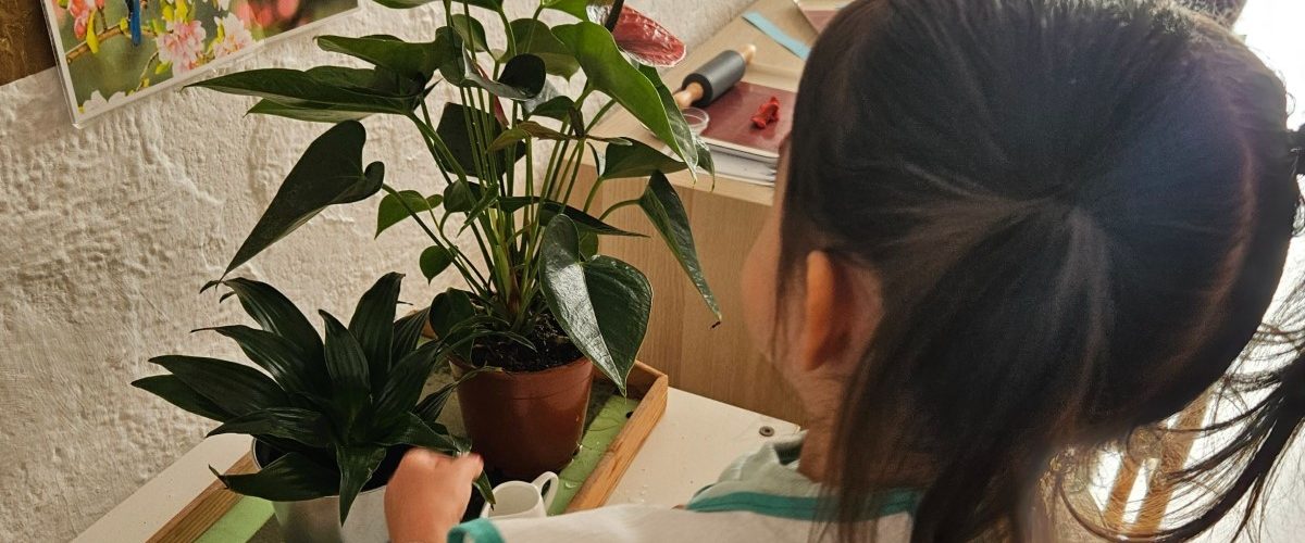 Montessori Casa
